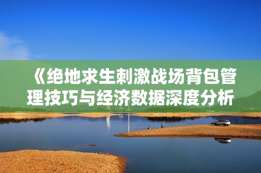 《绝地求生刺激战场背包管理技巧与经济数据深度分析》