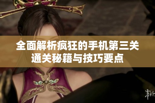全面解析疯狂的手机第三关通关秘籍与技巧要点