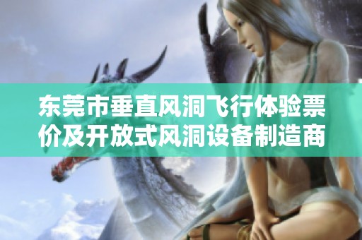 东莞市垂直风洞飞行体验票价及开放式风洞设备制造商介绍