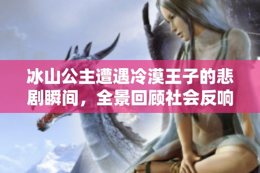 冰山公主遭遇冷漠王子的悲剧瞬间，全景回顾社会反响