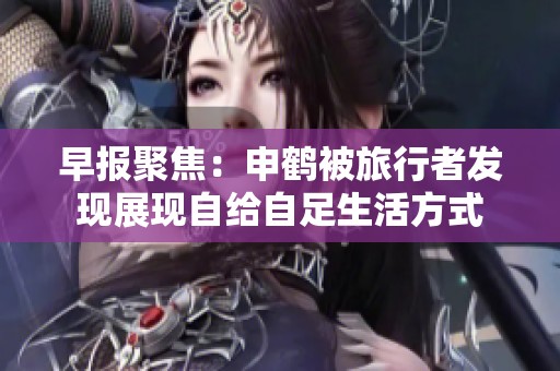 早报聚焦：申鹤被旅行者发现展现自给自足生活方式
