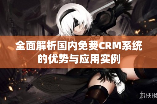全面解析国内免费CRM系统的优势与应用实例