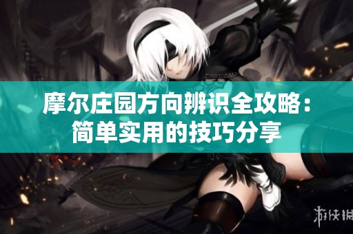 摩尔庄园方向辨识全攻略：简单实用的技巧分享