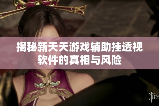 揭秘新天天游戏辅助挂透视软件的真相与风险