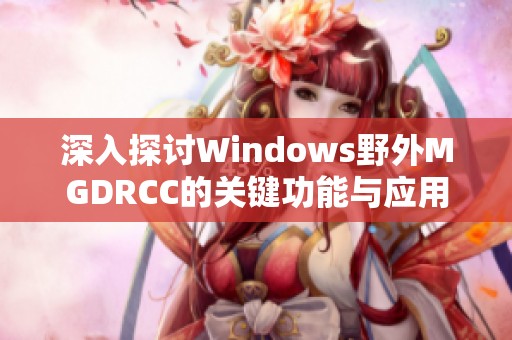 深入探讨Windows野外MGDRCC的关键功能与应用实例