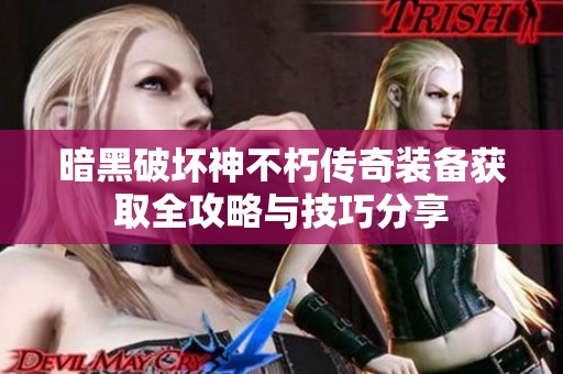 暗黑破坏神不朽传奇装备获取全攻略与技巧分享