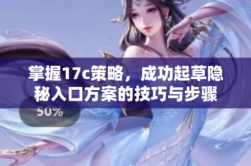 掌握17c策略，成功起草隐秘入口方案的技巧与步骤