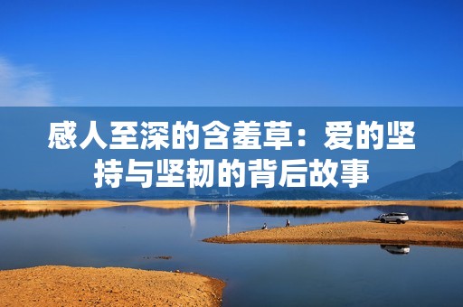 感人至深的含羞草：爱的坚持与坚韧的背后故事