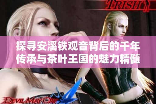 探寻安溪铁观音背后的千年传承与茶叶王国的魅力精髓