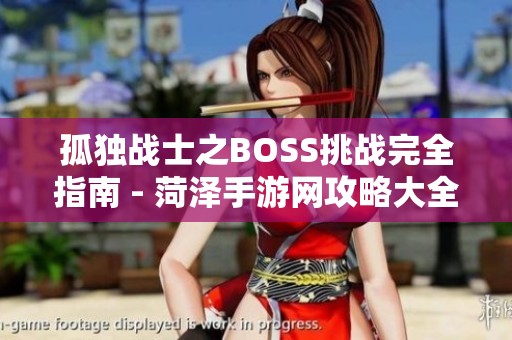 孤独战士之BOSS挑战完全指南 - 菏泽手游网攻略大全