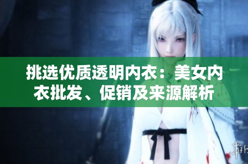 挑选优质透明内衣：美女内衣批发、促销及来源解析