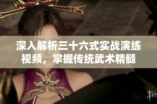 深入解析三十六式实战演练视频，掌握传统武术精髓