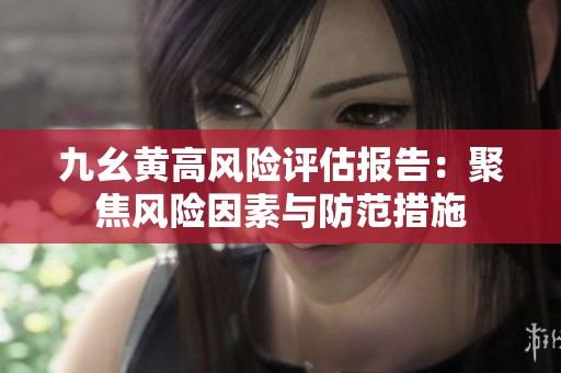 九幺黄高风险评估报告：聚焦风险因素与防范措施