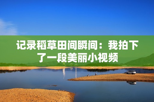 记录稻草田间瞬间：我拍下了一段美丽小视频