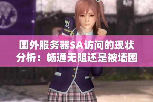 国外服务器SA访问的现状分析：畅通无阻还是被墙困扰的真实情况揭秘