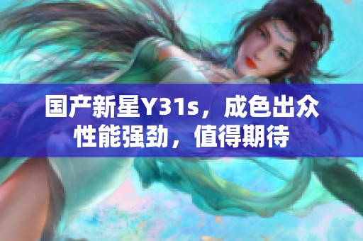 国产新星Y31s，成色出众性能强劲，值得期待