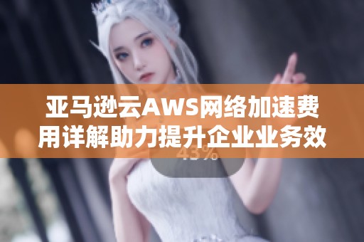 亚马逊云AWS网络加速费用详解助力提升企业业务效率与竞争力