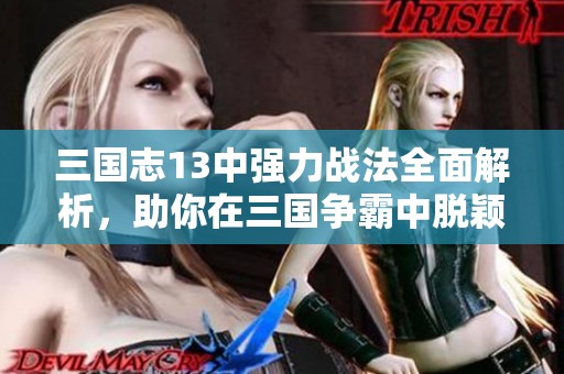 三国志13中强力战法全面解析，助你在三国争霸中脱颖而出成为赢家