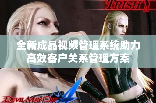 全新成品视频管理系统助力高效客户关系管理方案
