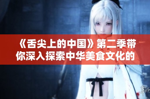 《舌尖上的中国》第二季带你深入探索中华美食文化的丰富内涵与地方特色
