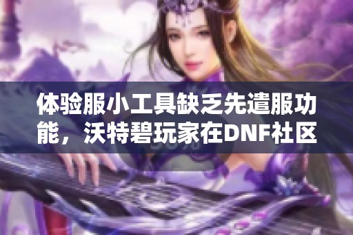 体验服小工具缺乏先遣服功能，沃特碧玩家在DNF社区中的讨论分析