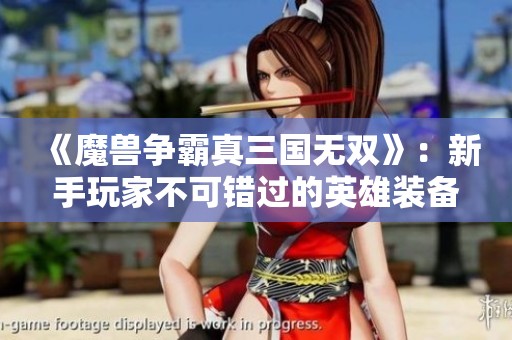 《魔兽争霸真三国无双》：新手玩家不可错过的英雄装备与进阶攻略详解