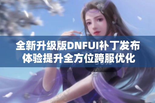 全新升级版DNFUI补丁发布 体验提升全方位跨服优化服务