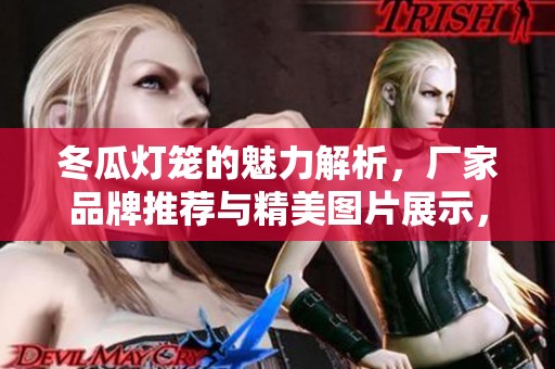 冬瓜灯笼的魅力解析，厂家品牌推荐与精美图片展示，尽享节日氛围