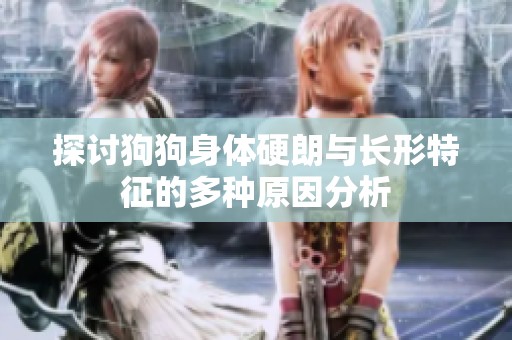 探讨狗狗身体硬朗与长形特征的多种原因分析