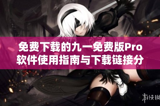 免费下载的九一免费版Pro软件使用指南与下载链接分享