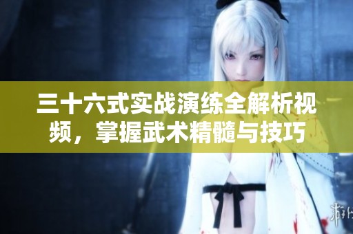 三十六式实战演练全解析视频，掌握武术精髓与技巧