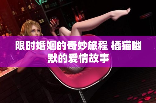 限时婚姻的奇妙旅程 橘猫幽默的爱情故事