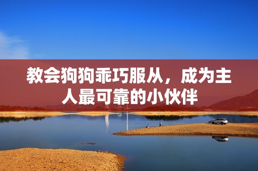 教会狗狗乖巧服从，成为主人最可靠的小伙伴