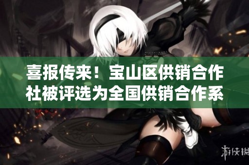 喜报传来！宝山区供销合作社被评选为全国供销合作系统先进集体的喜悦时刻