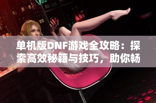 单机版DNF游戏全攻略：探索高效秘籍与技巧，助你畅游游戏世界轻松通关