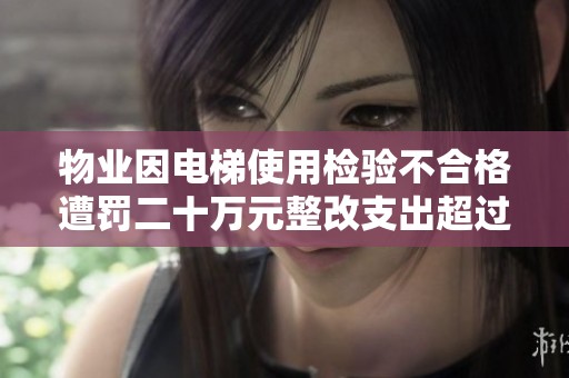 物业因电梯使用检验不合格遭罚二十万元整改支出超过一百二十万元