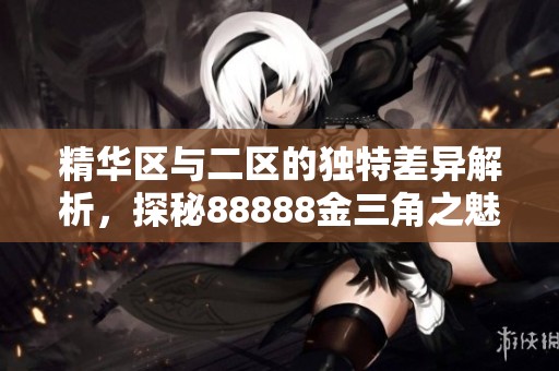 精华区与二区的独特差异解析，探秘88888金三角之魅力