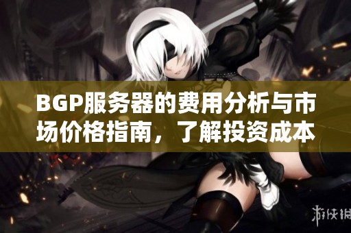 BGP服务器的费用分析与市场价格指南，了解投资成本
