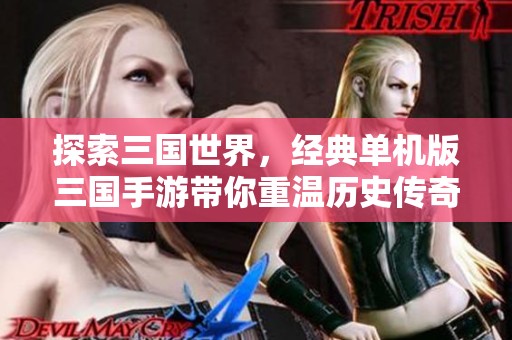 探索三国世界，经典单机版三国手游带你重温历史传奇与策略魅力