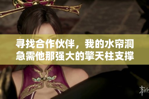 寻找合作伙伴，我的水帘洞急需他那强大的擎天柱支撑