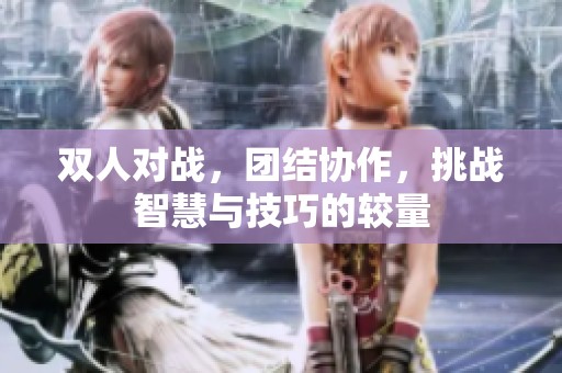 双人对战，团结协作，挑战智慧与技巧的较量
