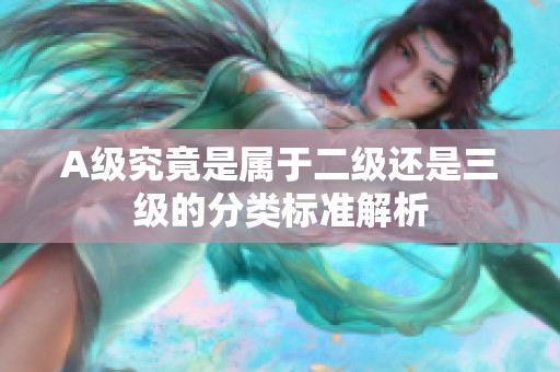A级究竟是属于二级还是三级的分类标准解析