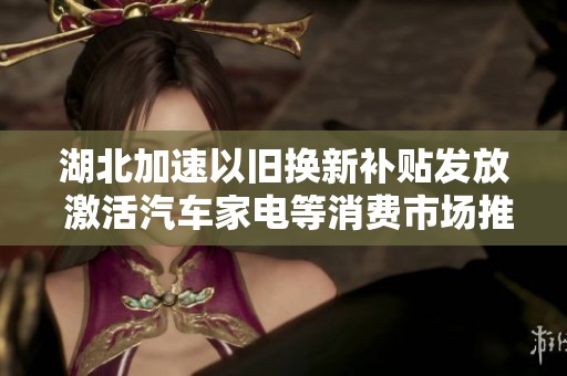 湖北加速以旧换新补贴发放 激活汽车家电等消费市场推动经济增长