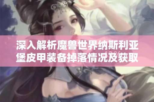 深入解析魔兽世界纳斯利亚堡皮甲装备掉落情况及获取方法探索