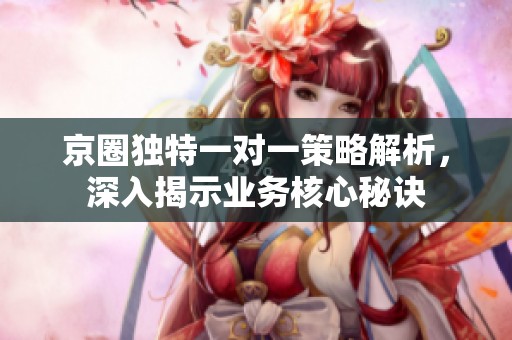 京圈独特一对一策略解析，深入揭示业务核心秘诀