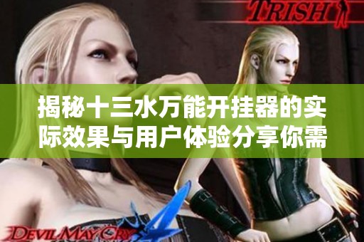 揭秘十三水万能开挂器的实际效果与用户体验分享你需要了解的真实情况