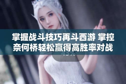 掌握战斗技巧再斗西游 掌控奈何桥轻松赢得高胜率对战秘诀分享