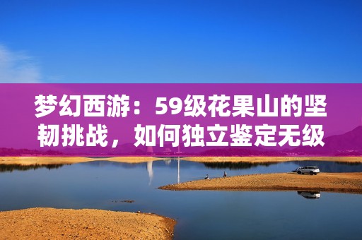 梦幻西游：59级花果山的坚韧挑战，如何独立鉴定无级别装备攻略分享