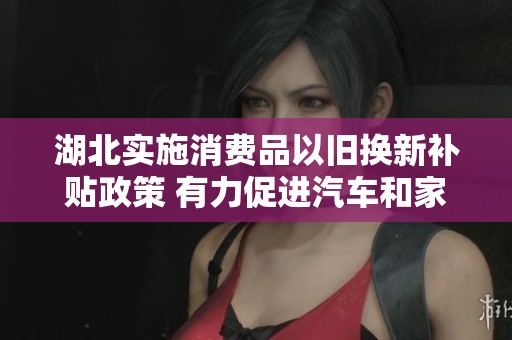 湖北实施消费品以旧换新补贴政策 有力促进汽车和家电等领域消费增长超出预期