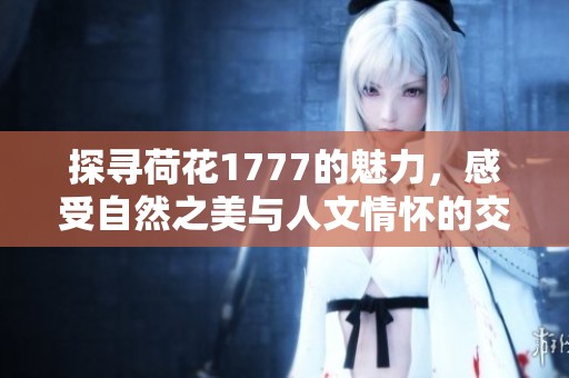 探寻荷花1777的魅力，感受自然之美与人文情怀的交融